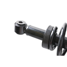 Load image into Gallery viewer, Fit For 2003 2004 2005 2006 Ford Expedition 1 Pair Rear Complete Strut Assembly