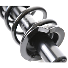 Load image into Gallery viewer, 1 Pair Rear Replacement Complete Struts & Coil Spring Assembly Fit For 2001 2002 2003 2004 2005 Honda Civic