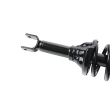 Load image into Gallery viewer, 1 Pair Rear Complete Struts Fit For 1990 1991 1992 1993 Honda Accord