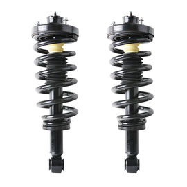 Fit For 2003 2004 2005 2006 Ford Expedition 1 Pair Rear Complete Strut Assembly