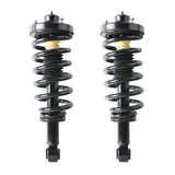 Fit For 2003 2004 2005 2006 Ford Expedition 1 Pair Rear Complete Strut Assembly